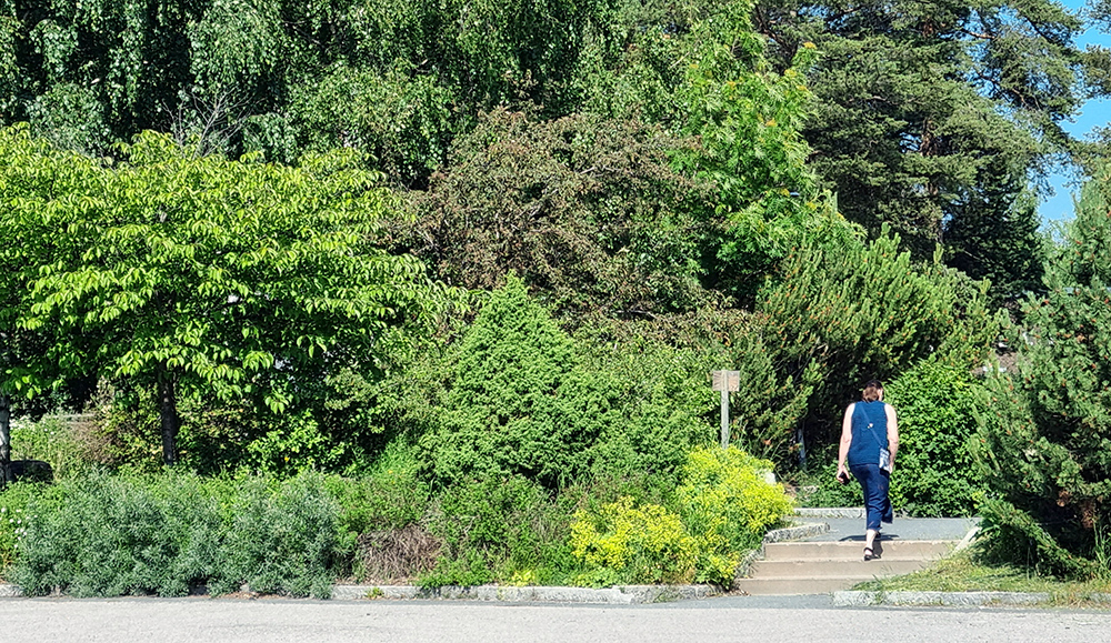 Entren till parken från parkeringen vid Örnäsets kyrka är lummig och det är några trappsteg för att ta sig in.