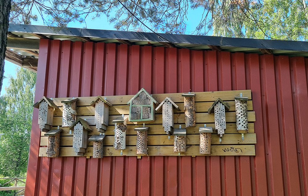 Ena sidan av scenen är full av insektshotell