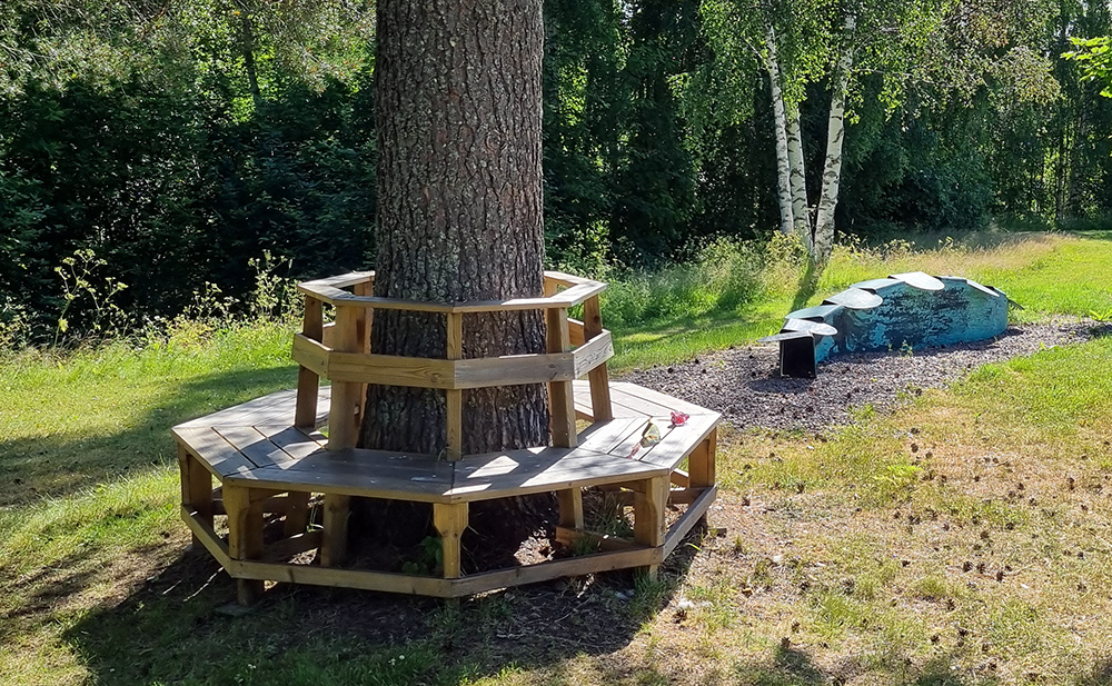 Sittplatser runt en tallstam