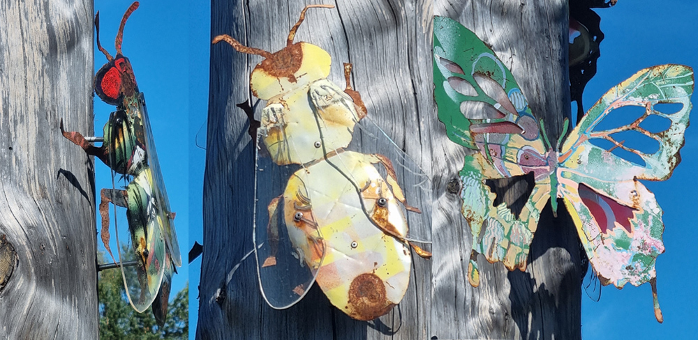 Några av insekterna som finns på träpålen