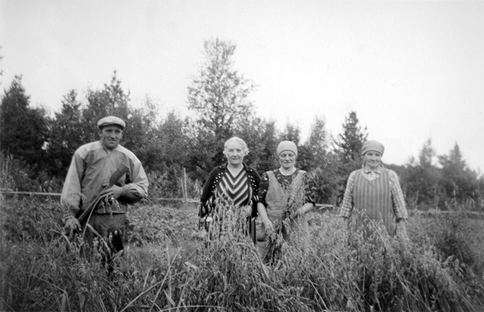 Fyra personer stående på spannmålsåker.