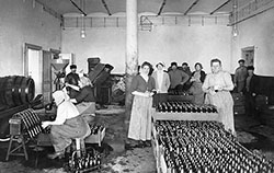 Interiörbild från bryggeri i äldre tid. Personal står vid en mängd flaskor.