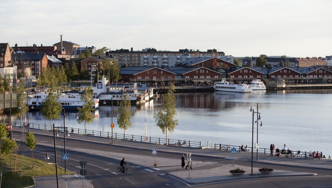 Ett foto av Norra hamn i Luleå på sommaren