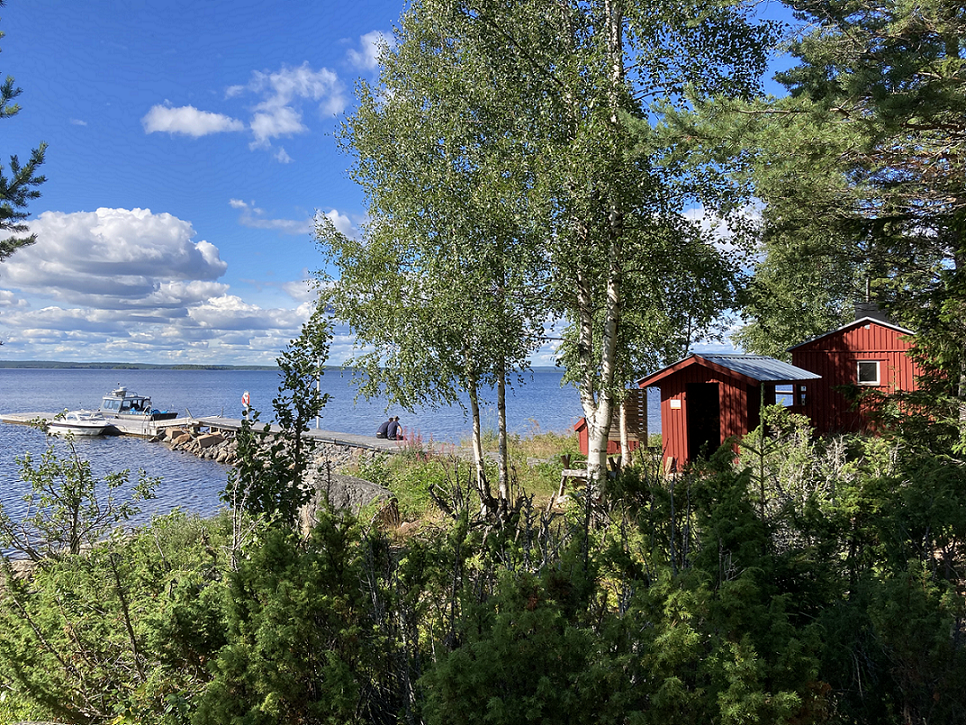 Antnäs Börstskär i Luleå skärgård. Foto: Iida Larsson