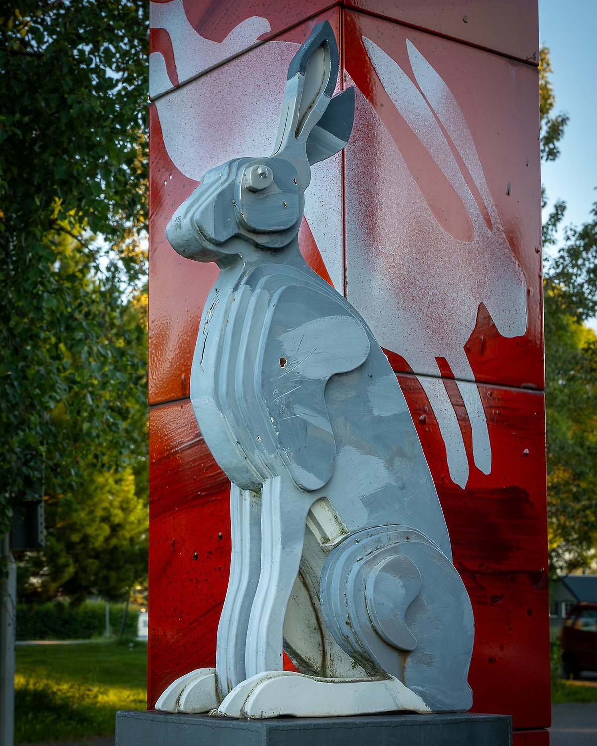 Närbild av den grå haren med den röda delen av portalen i bakgrunden