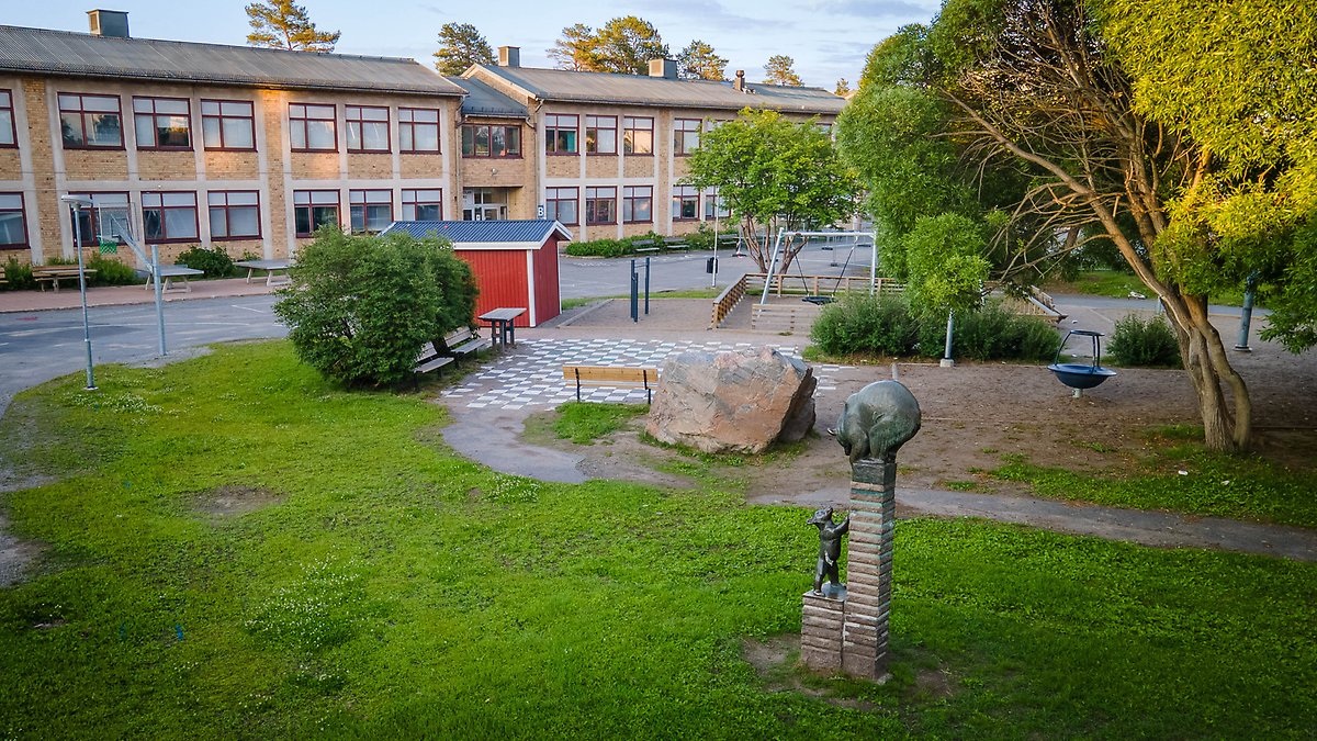 Drönarbild av Björnar med omgivande skolgård