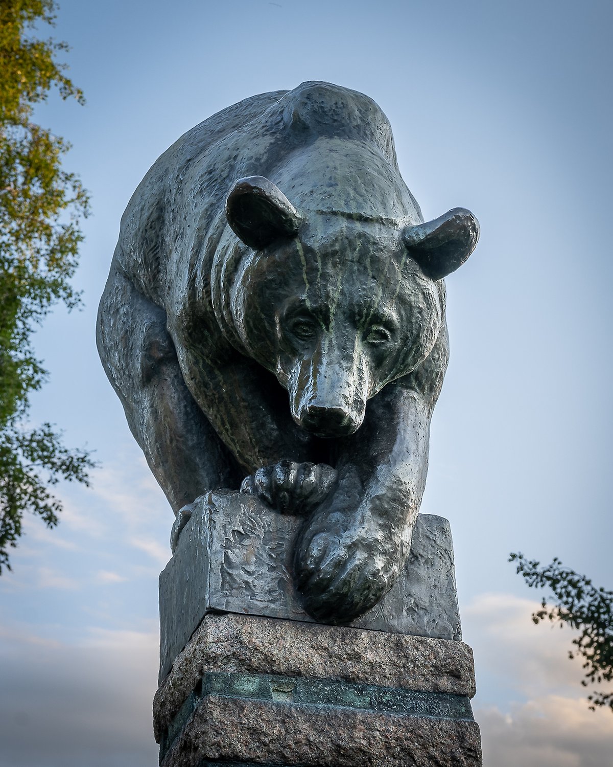 Närbild av mammabjörn