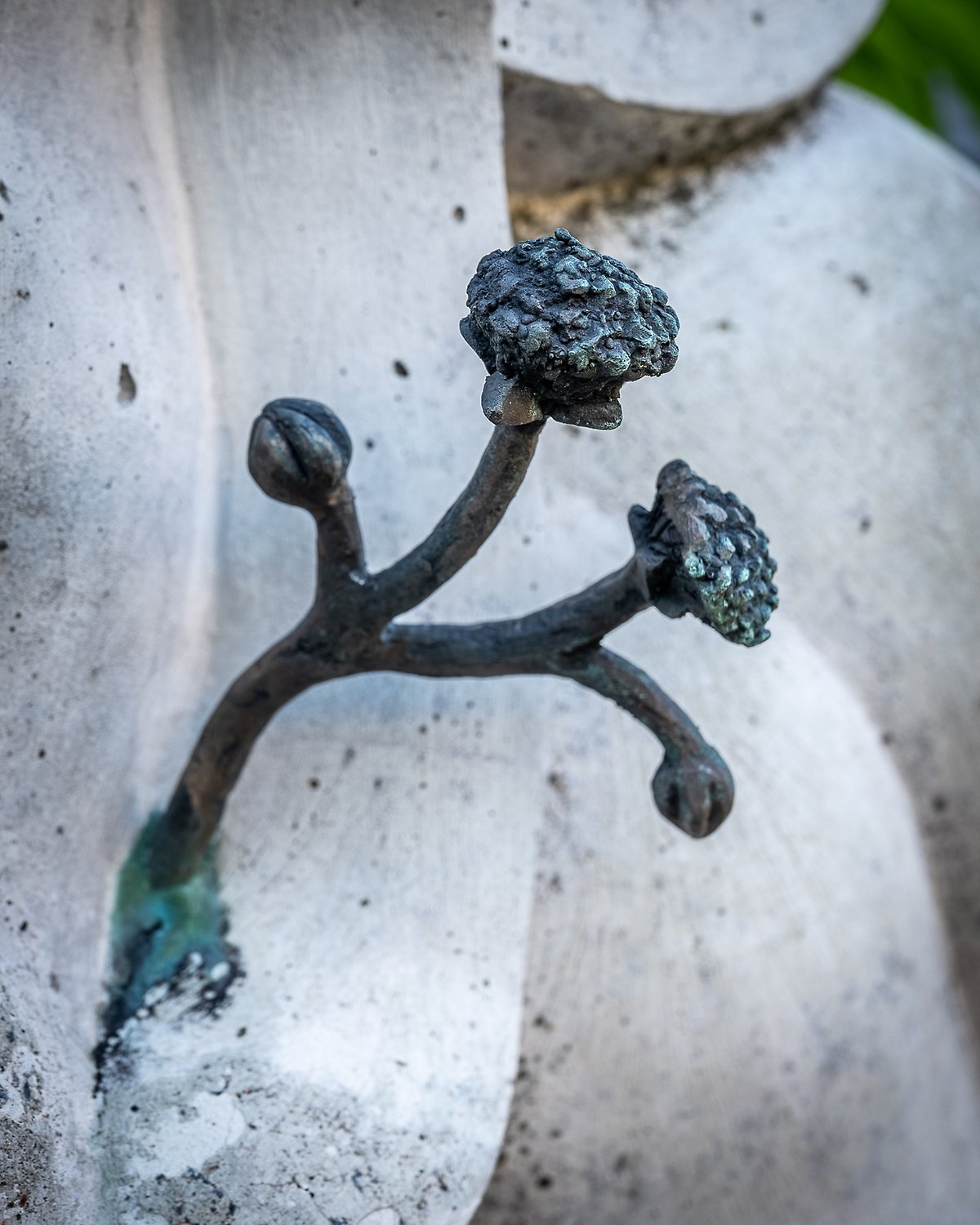 Detajlbild av Bladverk