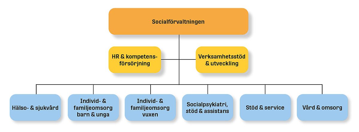 Bild över socialförvaltningens organisation