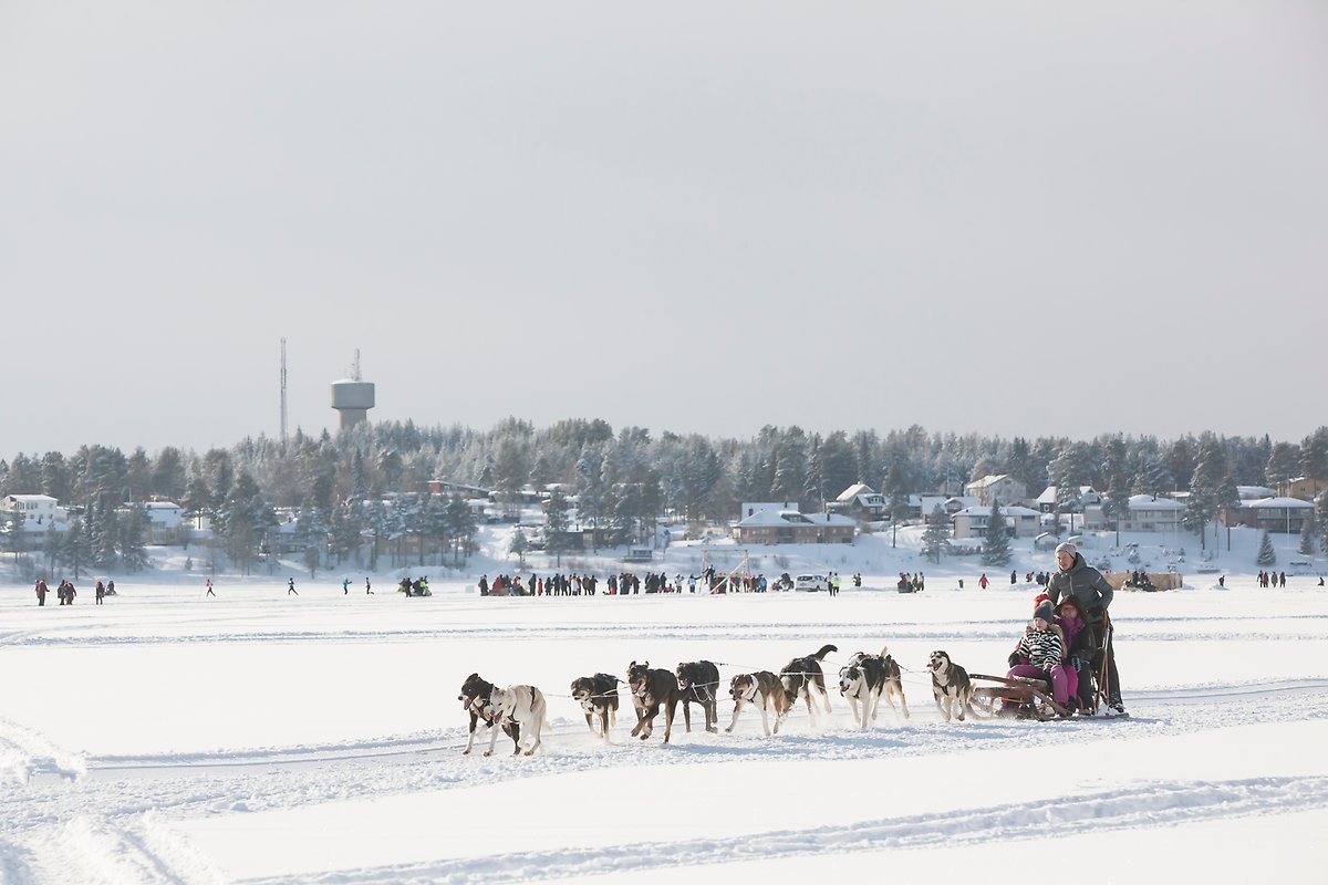 lulea_norra_hamn_kvall_stad_ljus_skargard_vatten_panorama