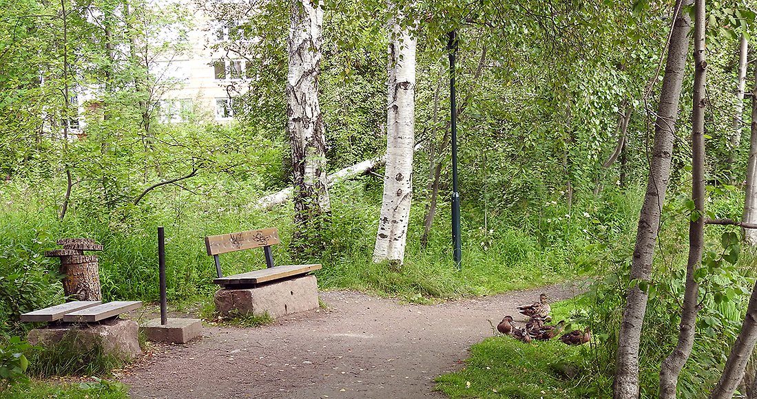 Bild på sittplatsen vid dammen med en andfamilj vid dammkanten